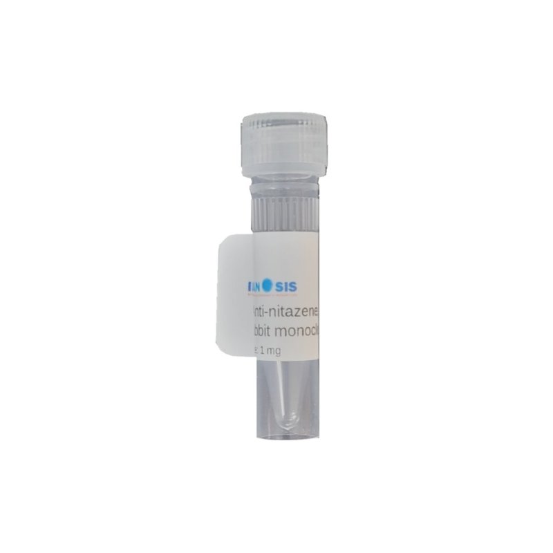 Anti nitazene antibody (clone BO6), 1 mg