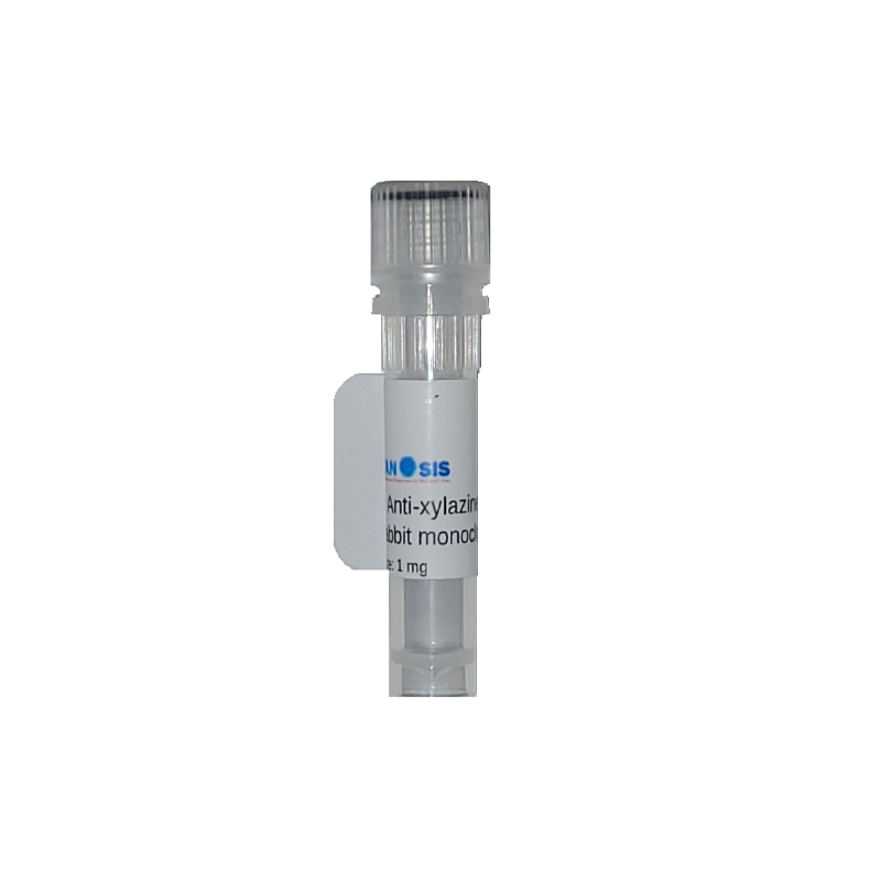 Anti xylazine antibody (clone I2), 1mg